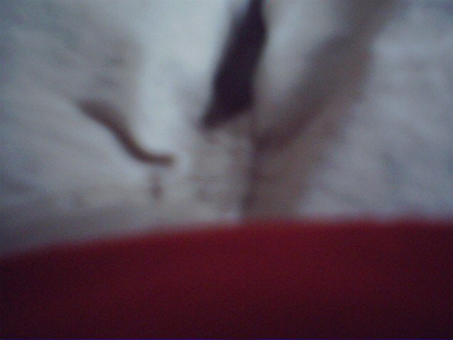 IMG 0001-1 (46)